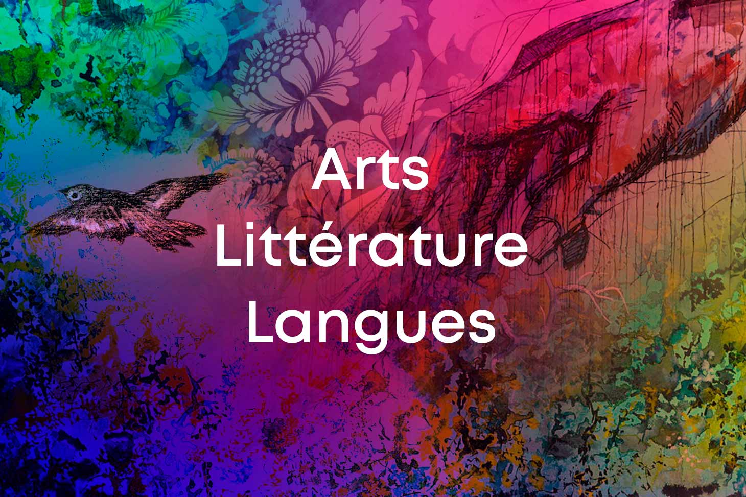 Arts, Littérature, Langues