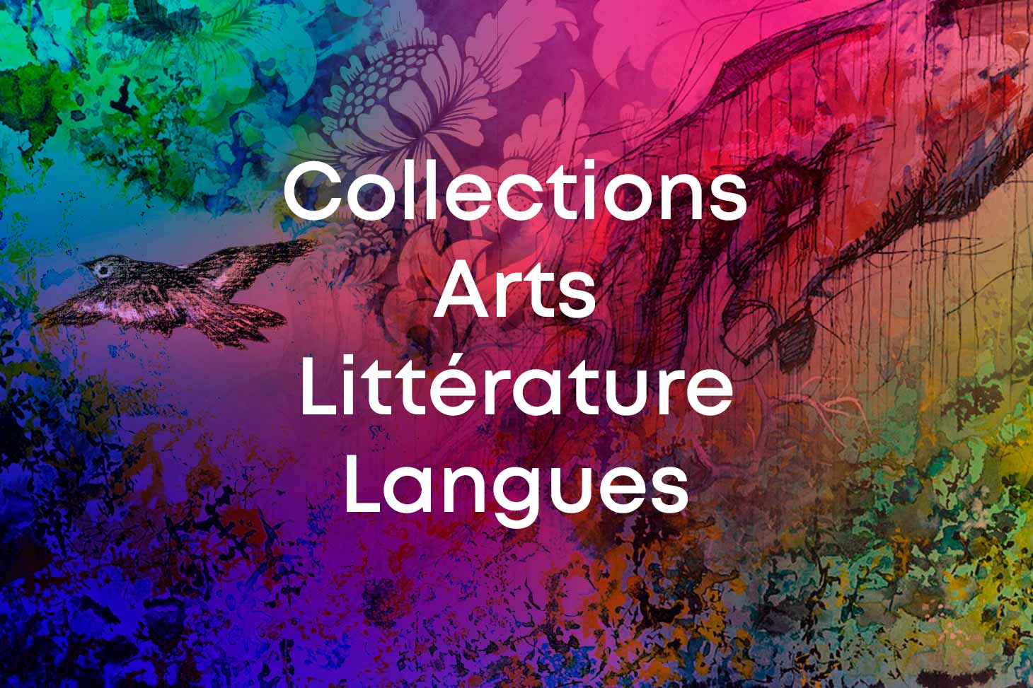 Collections Arts, Littérature, Langues