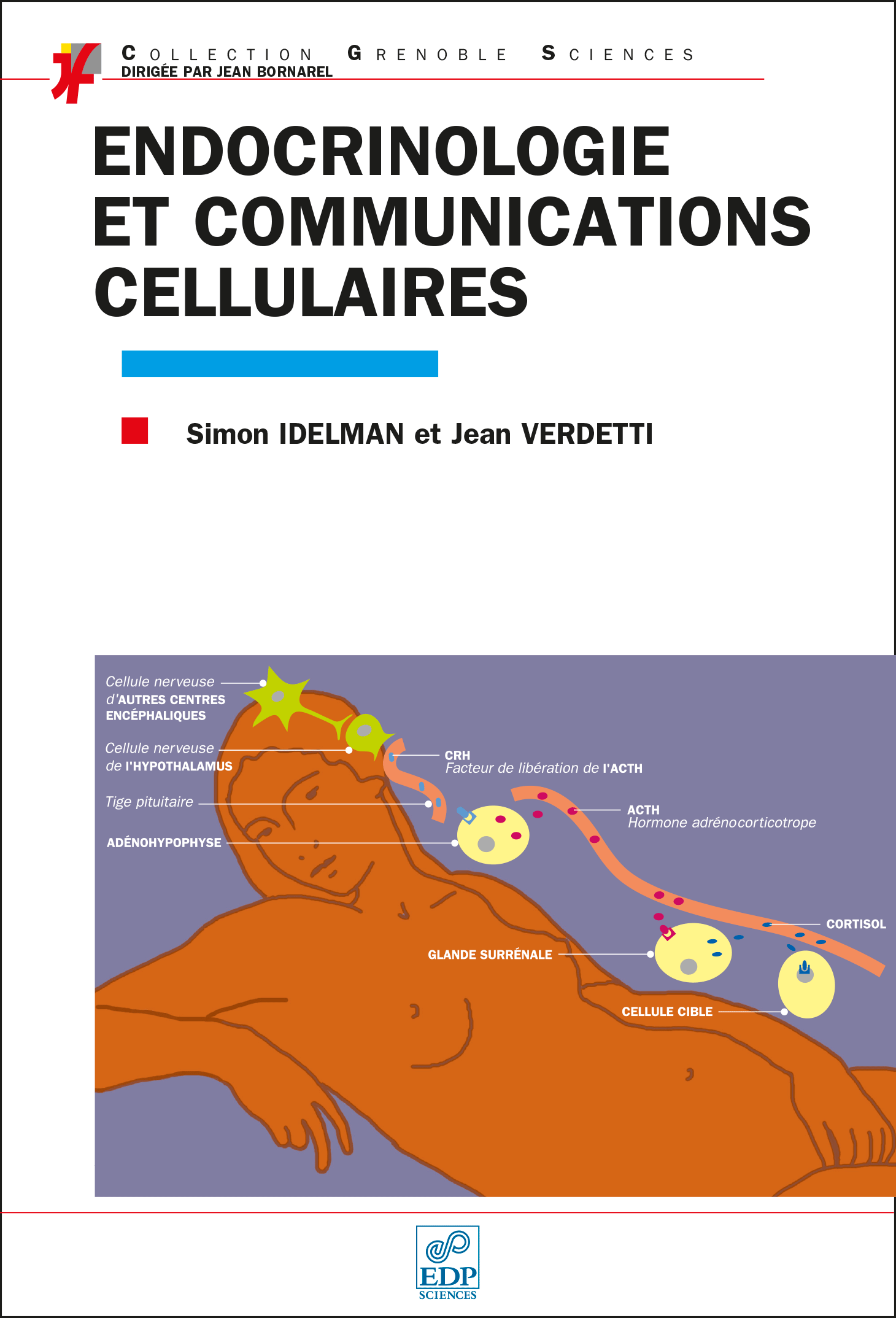 Couverture Endocrinologie