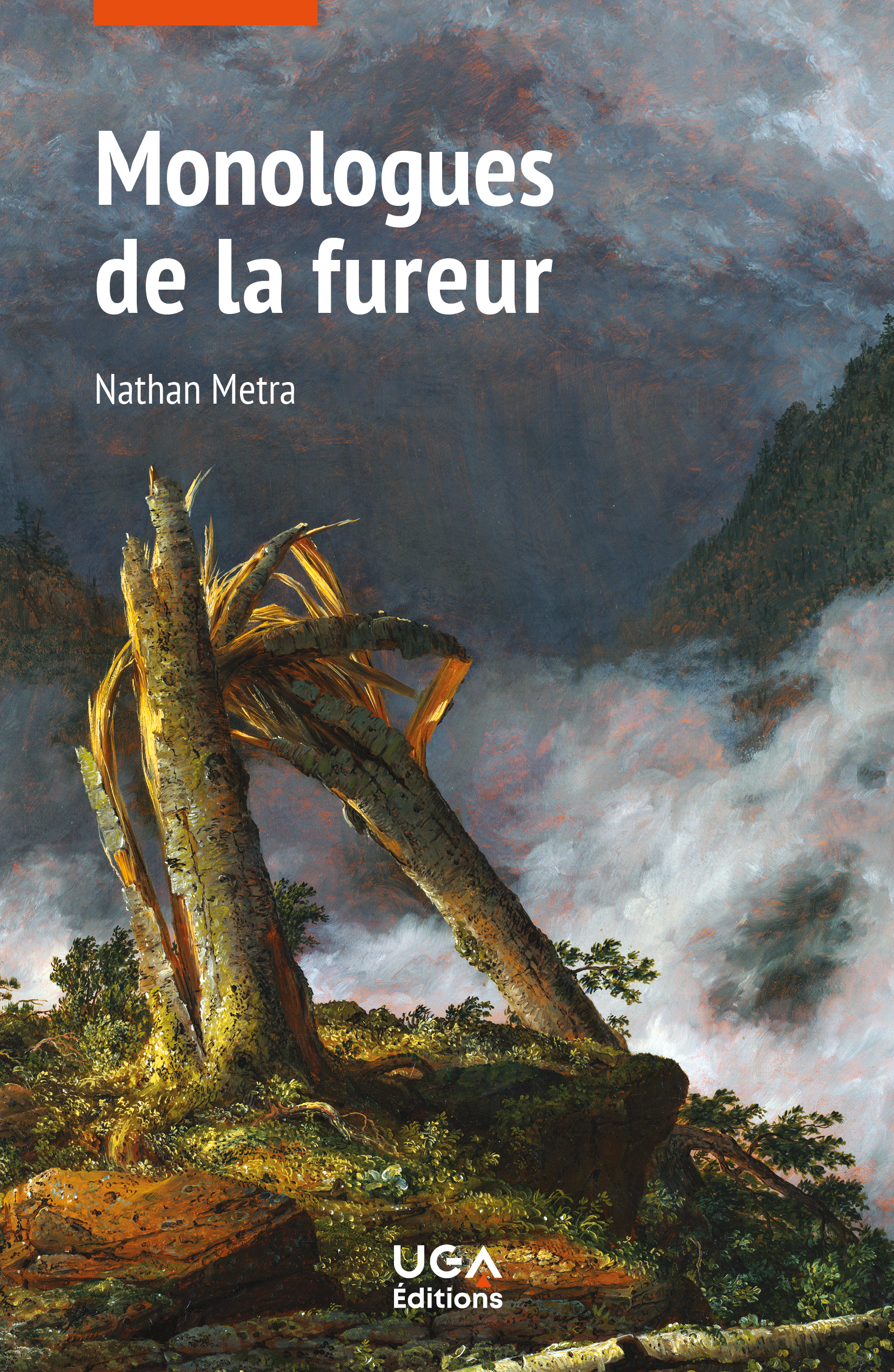 Monologues de la fureur
