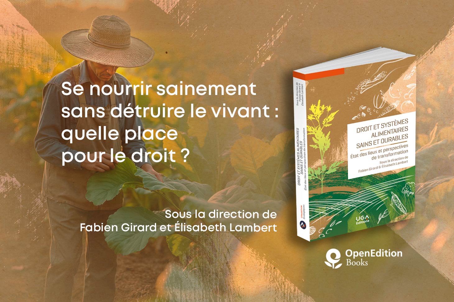 Droit et systèmes alimentaires sains et durables